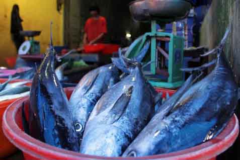  Tangsel Galakkan Gerakan Memasyarakatkan Makan Ikan